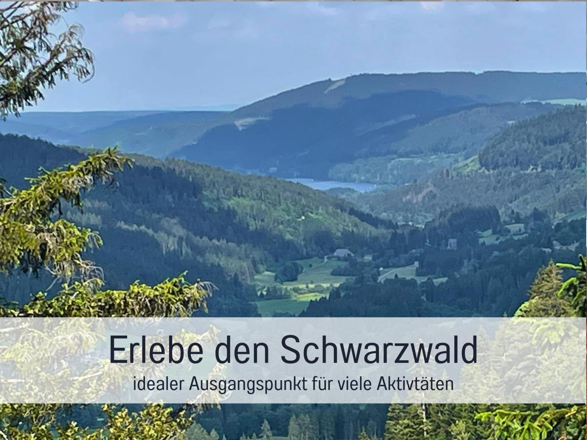 Ferienwohnungen Auszeit Langmatt Sulzburg Exterior photo